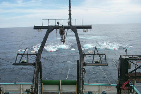 image of the Charles Darwin in action